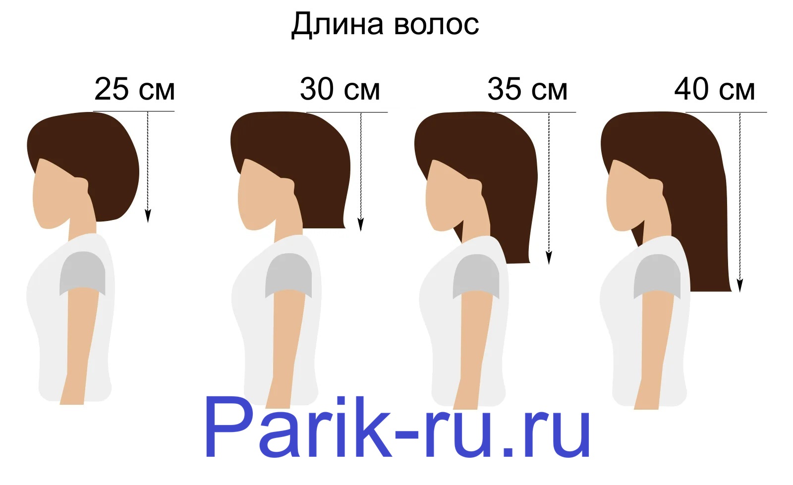 разная Длина волос в сантиметрах наглядное изображение
